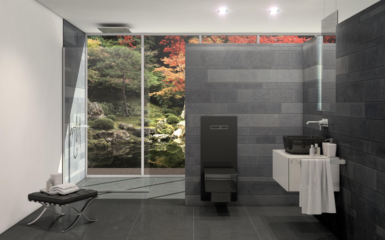 WC-Terminal TECElux in schwarz